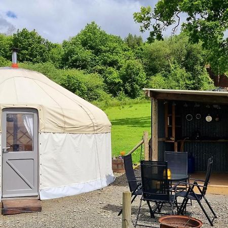 Bronfelen Yurt Hotel Cynghordy Kültér fotó