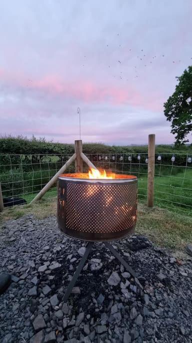 Bronfelen Yurt Hotel Cynghordy Kültér fotó