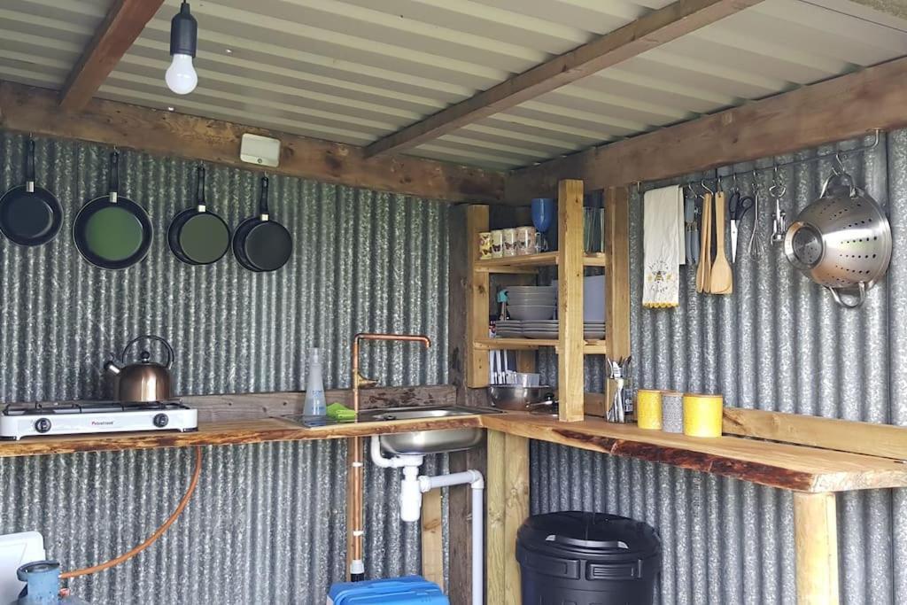 Bronfelen Yurt Hotel Cynghordy Kültér fotó