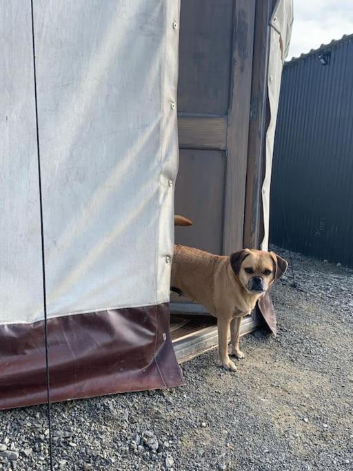 Bronfelen Yurt Hotel Cynghordy Kültér fotó