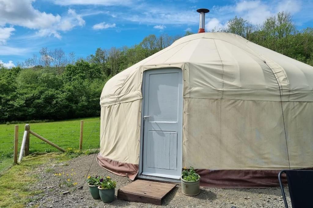 Bronfelen Yurt Hotel Cynghordy Kültér fotó