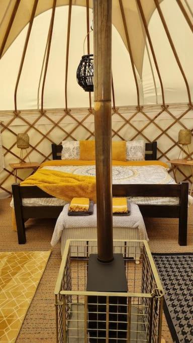 Bronfelen Yurt Hotel Cynghordy Kültér fotó