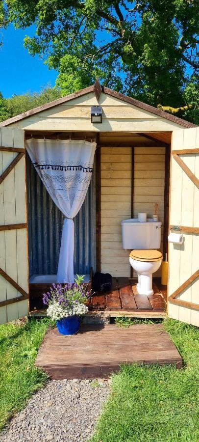 Bronfelen Yurt Hotel Cynghordy Kültér fotó